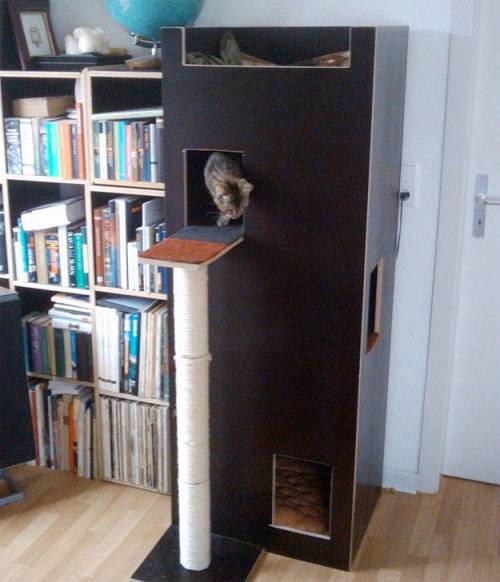 可愛い家の中にある猫の家