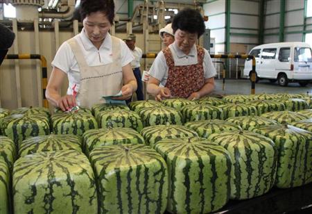 日本のスイカがヤバ過ぎると話題になってる写真