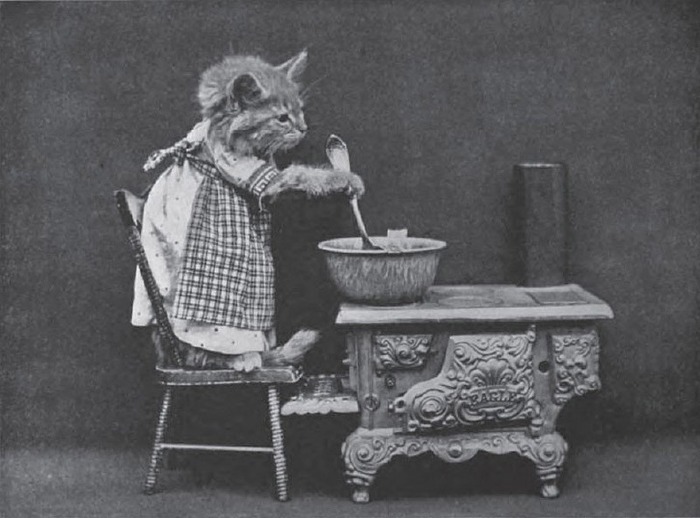 犬猫を擬人化したレトロな写真
