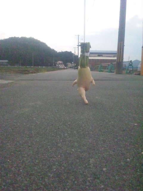 走る大根