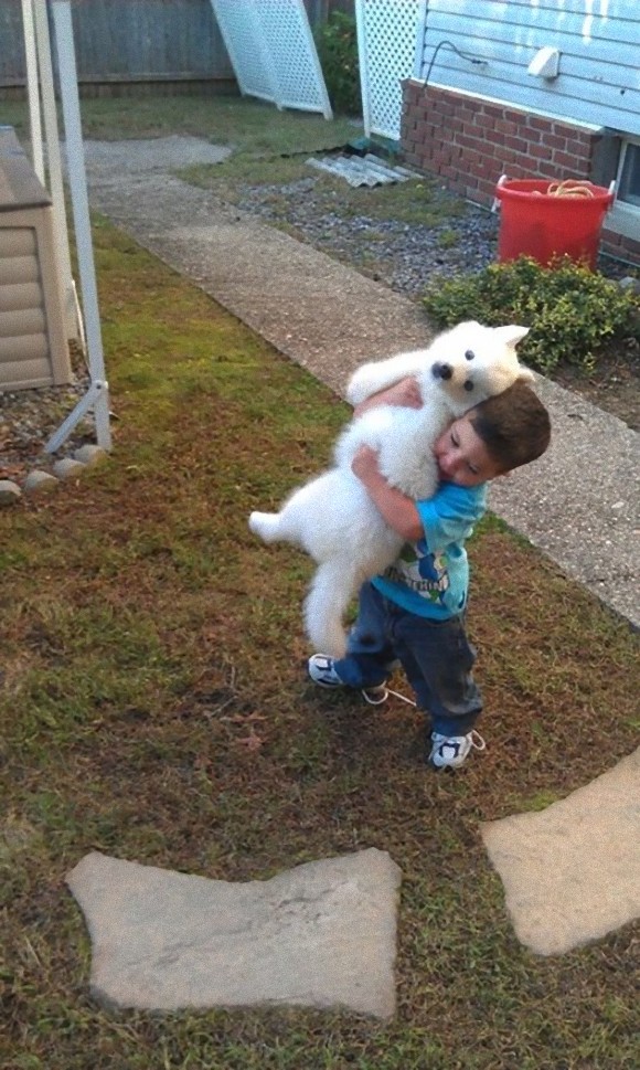 動物と人間の子供が仲良くしている可愛い写真