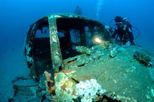 車が海に沈んでしばらくして魚の住まいになった写真