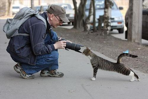 すごいポーズを決める動物たちの写真