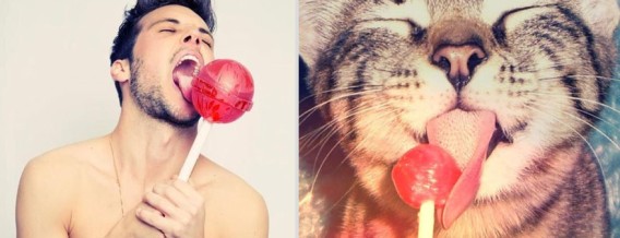 どっちが好き？同じようなポーズのイケメンと猫の比較画像