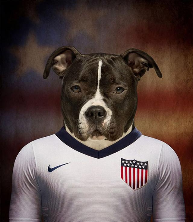 その国の犬に置き換えたポートレート写真
