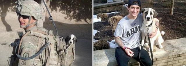 愛しいペットと一緒に撮影した、過去と現在の写真