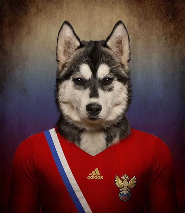 その国の犬に置き換えたポートレート写真