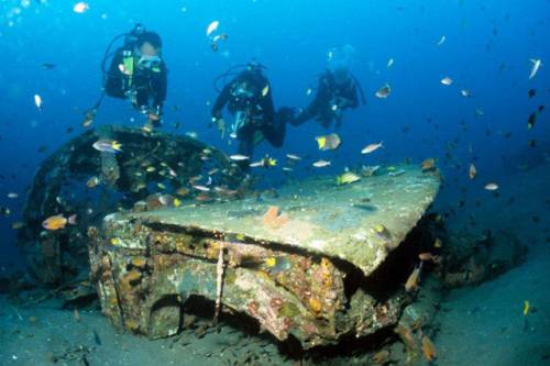 車が海に沈んでしばらくして魚の住まいになった写真