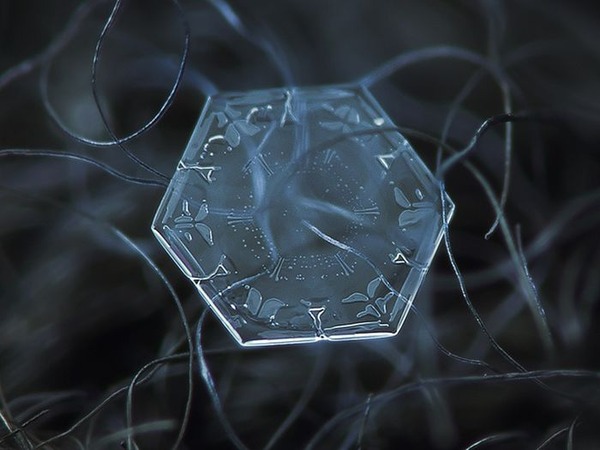 シンプルなDIYカメラキットでとらえた驚くべき雪の結晶