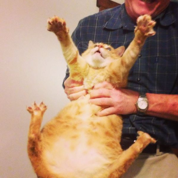 動物たちの可愛すぎる画像