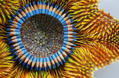 鉛筆を大量に利用した「鉛筆アート」写真
