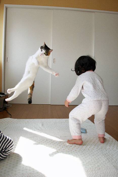思わず爆笑する画像