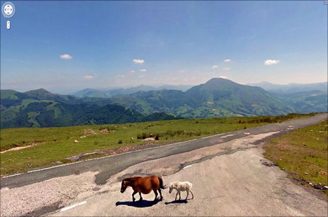 グーグルストリートビューで見かけた珍しい風景の写真