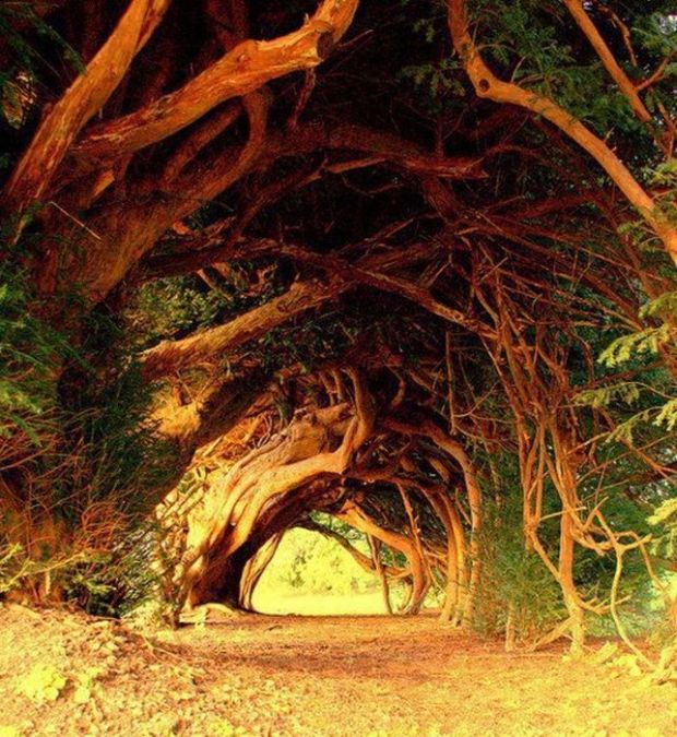 息を呑むほど美しい風景・自然！地球すげえって画像