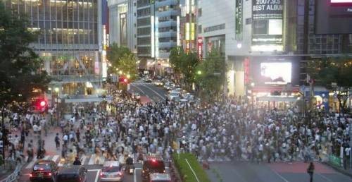 外国人から見た日本の写真