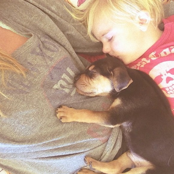 幼い子犬と幼い息子の友情の記録写真