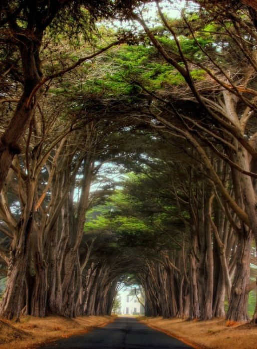 息を呑むほど美しい風景・自然！地球すげえって画像