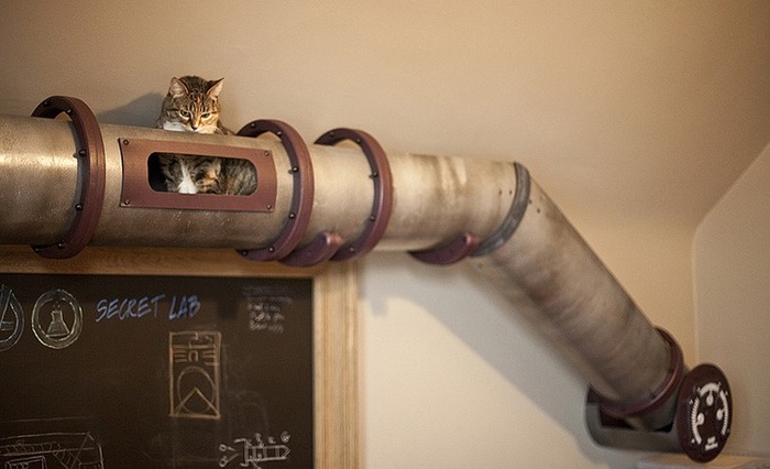 猫のために設計されたインテリアや小物が可愛い写真