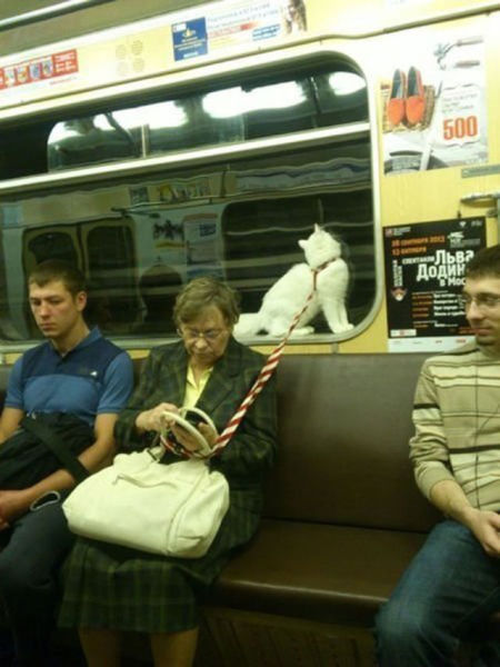ロシアでしかお目にかかれない光景の写真