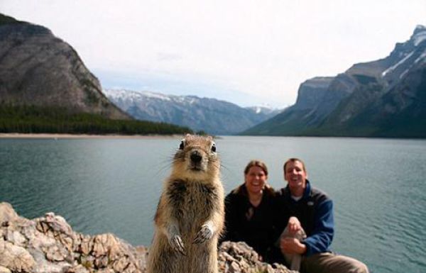 記念撮影好きな動物の写真
