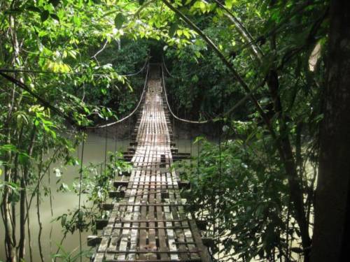 世界にある「吊り橋」