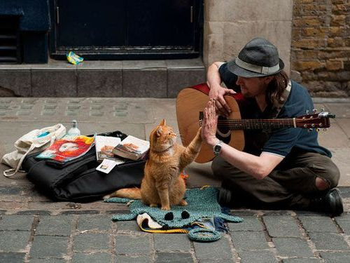 「猫がいて幸せを感じる瞬間」の写真