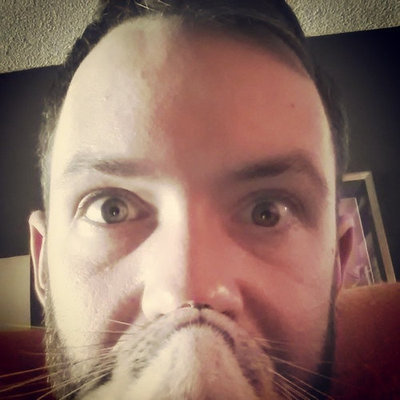 かわいい愛猫を「ヒゲ」にして遊ぶ人々の写真