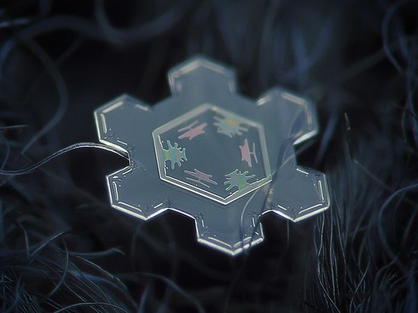 シンプルなDIYカメラキットでとらえた驚くべき雪の結晶