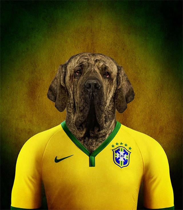 その国の犬に置き換えたポートレート写真