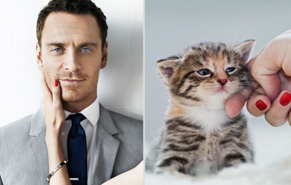 どっちが好き？同じようなポーズのイケメンと猫の比較画像