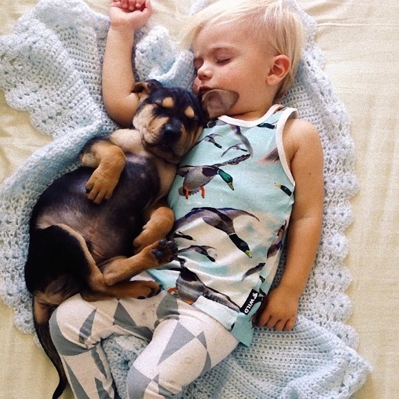 幼い子犬と幼い息子の友情の記録写真