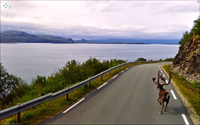グーグルストリートビューで見かけた珍しい風景の写真