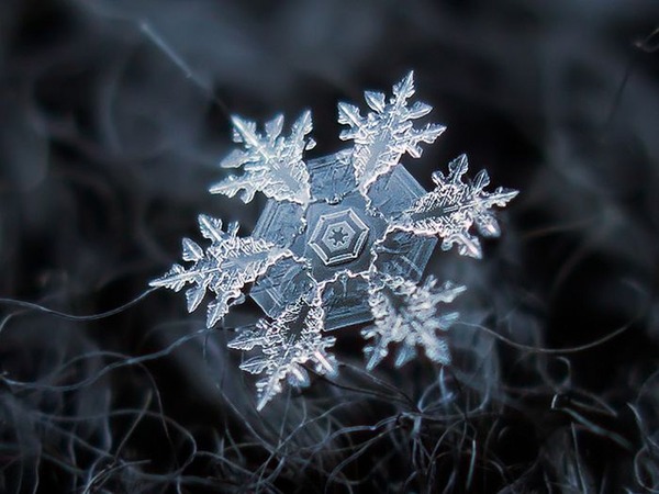 シンプルなDIYカメラキットでとらえた驚くべき雪の結晶