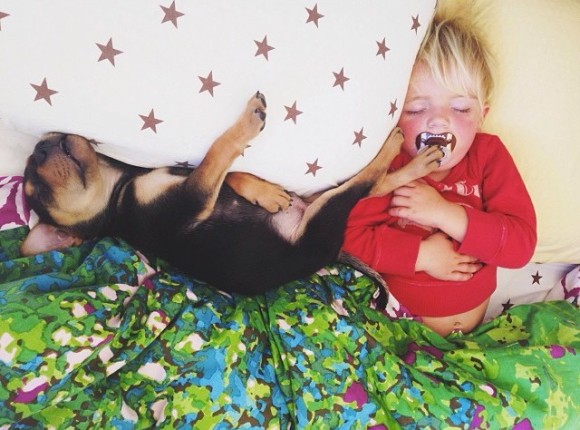 幼い子犬と幼い息子の友情の記録写真
