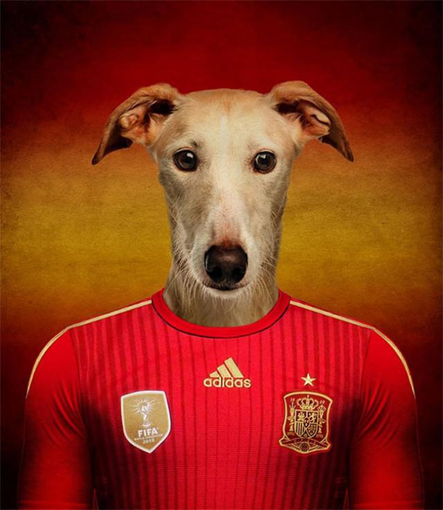その国の犬に置き換えたポートレート写真