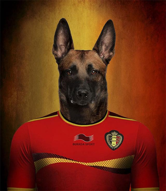 その国の犬に置き換えたポートレート写真