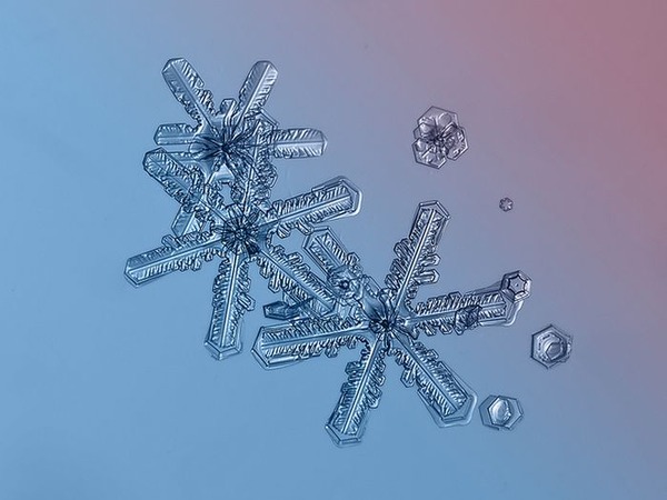 シンプルなDIYカメラキットでとらえた驚くべき雪の結晶