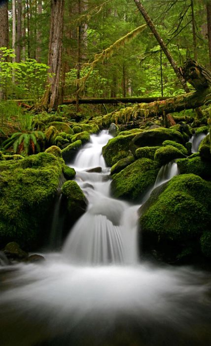 息を呑むほど美しい風景・自然！地球すげえって画像