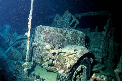 車が海に沈んでしばらくして魚の住まいになった写真
