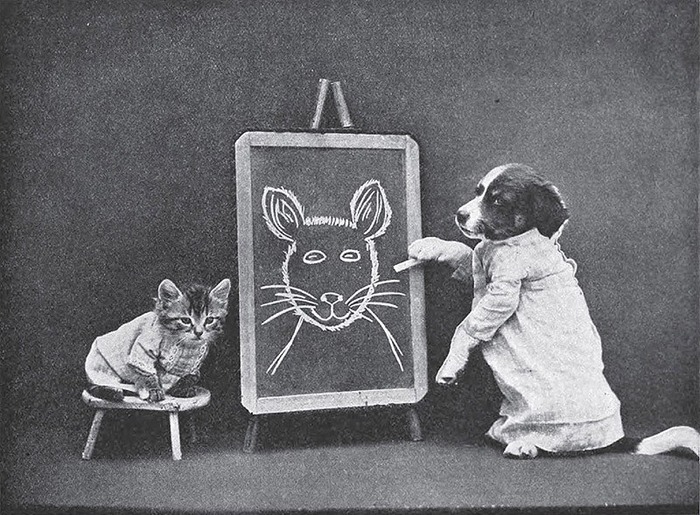 犬猫を擬人化したレトロな写真