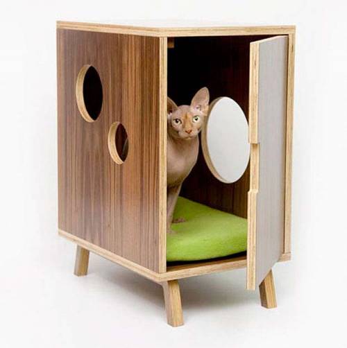 可愛い家の中にある猫の家