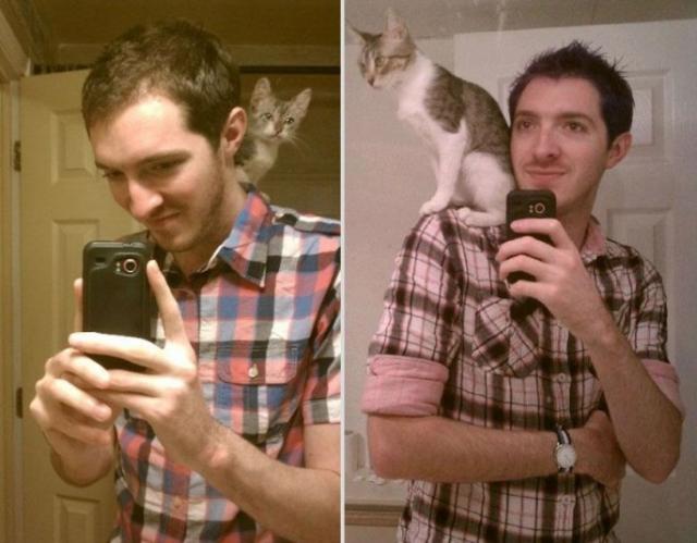 愛しいペットと一緒に撮影した、過去と現在の写真