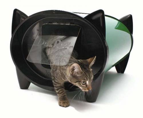 可愛い家の中にある猫の家