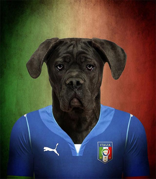 その国の犬に置き換えたポートレート写真
