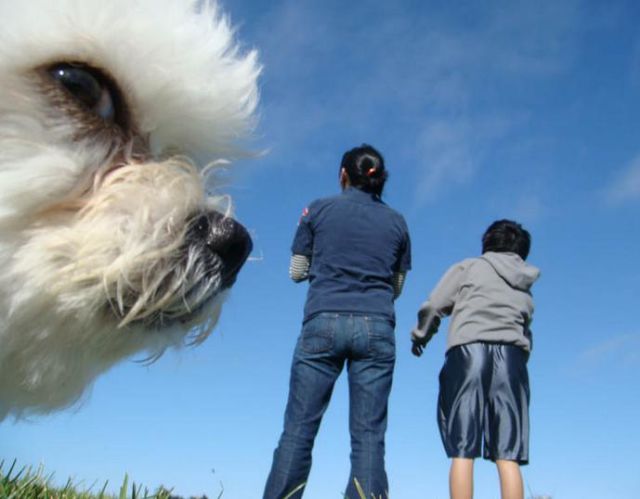 記念撮影好きな動物の写真