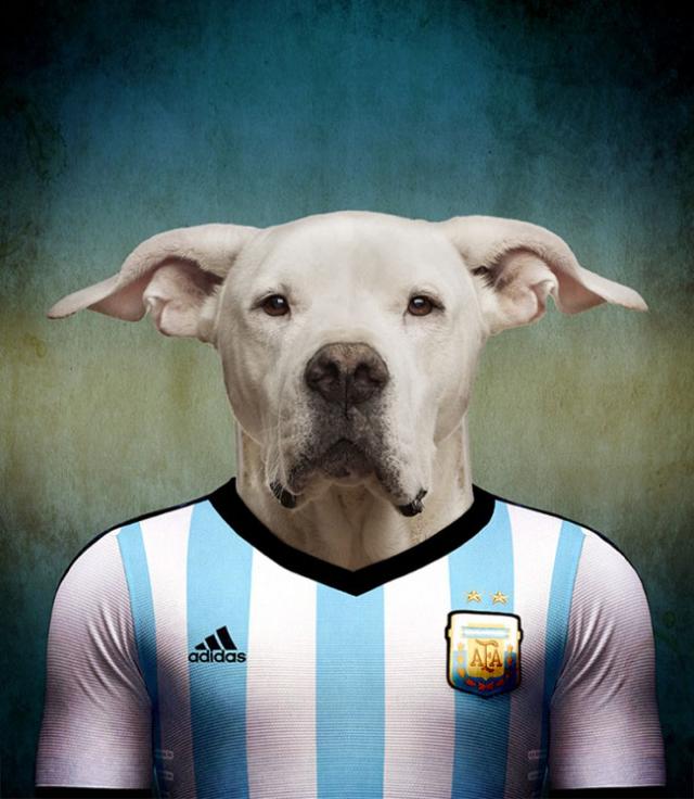 その国の犬に置き換えたポートレート写真