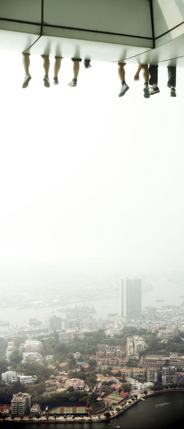 何だか高いところで遊ぶのがとにかく好きな人の写真