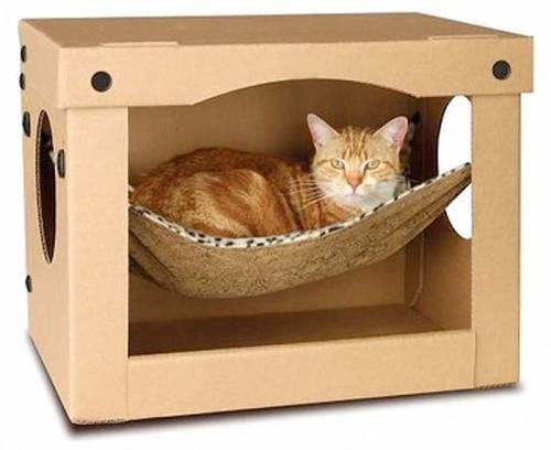 可愛い家の中にある猫の家