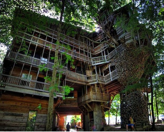 これが男のロマンと思える森の中の建築写真