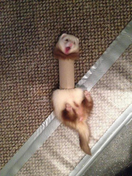 危険を感じるギリギリな画像